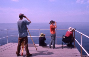 Scanning the water for cetaceans at Ardnamurchan Point, the most westly point on the British mainland